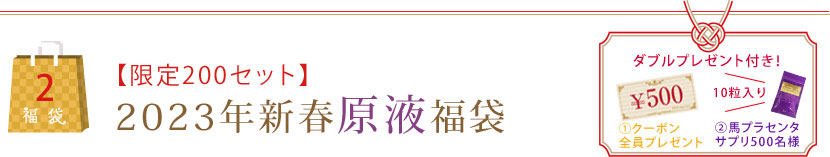 【限定200セット】2023年新春原液福袋