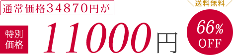 通常価格34870円が特別価格11000円（税抜）66%OFF　送料無料