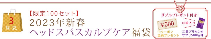 【限定100セット】2023年新春ヘッドスパスカルプケア福袋
