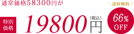 通常価格58300円が特別価格19800円（税抜）66%OFF　送料無料