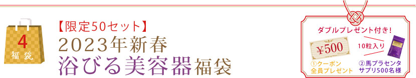 【限定50セット】2023年新春浴びる美容器福袋