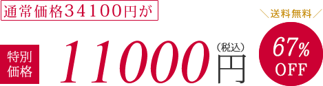 通常価格34100円が特別価格11000円（税抜）67%OFF　送料無料