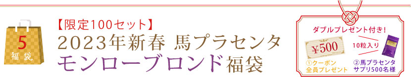 【限定100セット】2023年新春 馬プラセンタモンローブロンド福袋