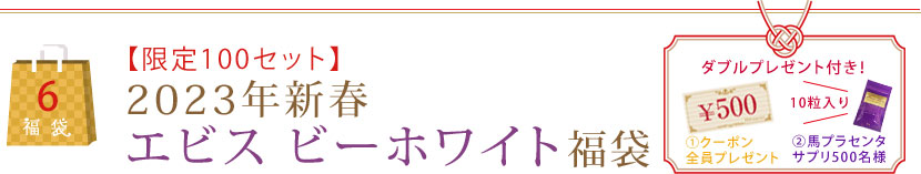 【限定100セット】2023年新春エビス ビーホワイト福袋