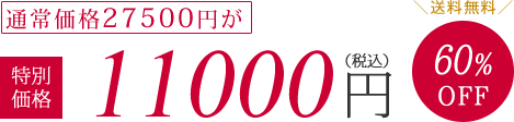 通常価格27500円が特別価格11000円（税抜）60%OFF　送料無料