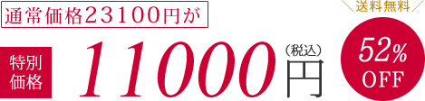 通常価格23100円が特別価格11000円（税抜）52%OFF　送料無料