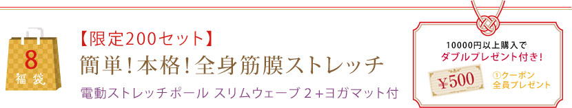 【限定200セット】簡単！本格！全身筋膜ストレッチ電動ストレッチポール スリムウェーブ２+ヨガマット付