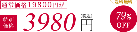 通常価格19800円が特別価格3980円（税抜）79%OFF　送料無料