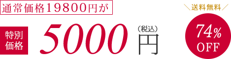 通常価格19800円が特別価格5000円（税抜）74%OFF　送料無料