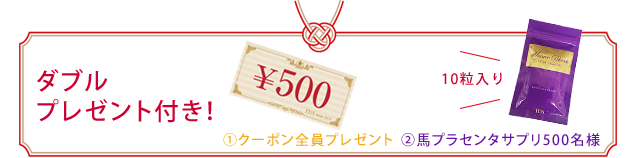 ダブルプレゼント付き！