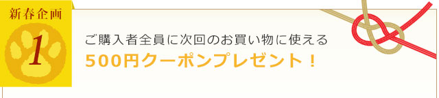 ご購入者全員に次回のお買い物に使える　500円クーポンプレゼント！