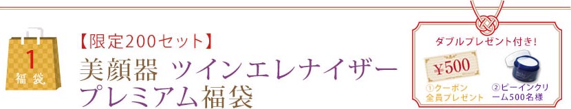 【限定200セット】美顔器 ツインエレナイザープレミアム福袋