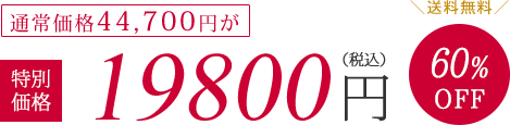 通常価格44700円が特別価格19800円（税抜）60%OFF　送料無料
