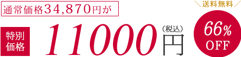 通常価格34870円が特別価格11000円（税抜）66%OFF　送料無料