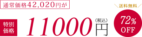 通常価格42020円が特別価格11000円（税抜）72%OFF　送料無料