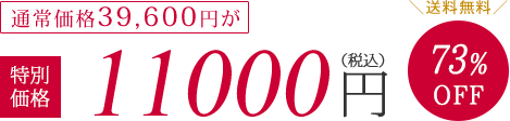 通常価格39600円が特別価格11000円（税抜）73%OFF　送料無料