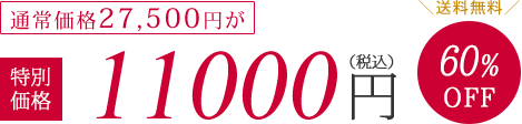 通常価格27500円が特別価格11000円（税抜）60%OFF　送料無料