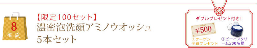 【限定100セット】濃密泡洗顔アミノウオッシュ5本セット