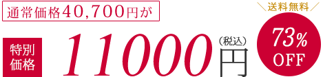 通常価格40700円が特別価格3980円（税抜）73%OFF　送料無料