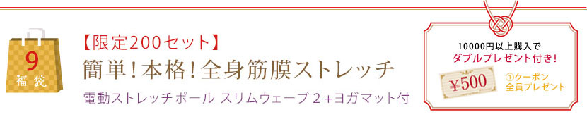 【限定200セット】簡単！本格！全身筋膜ストレッチ電動ストレッチポール スリムウェーブ２+ヨガマット付