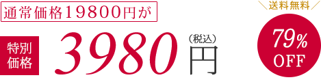 通常価格19800円が特別価格3980円（税抜）79%OFF　送料無料