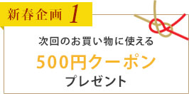 新春企画1　次回のお買い物に使える500クーポンプレゼント