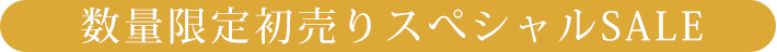 数量限定初売りスぺシャルSALE