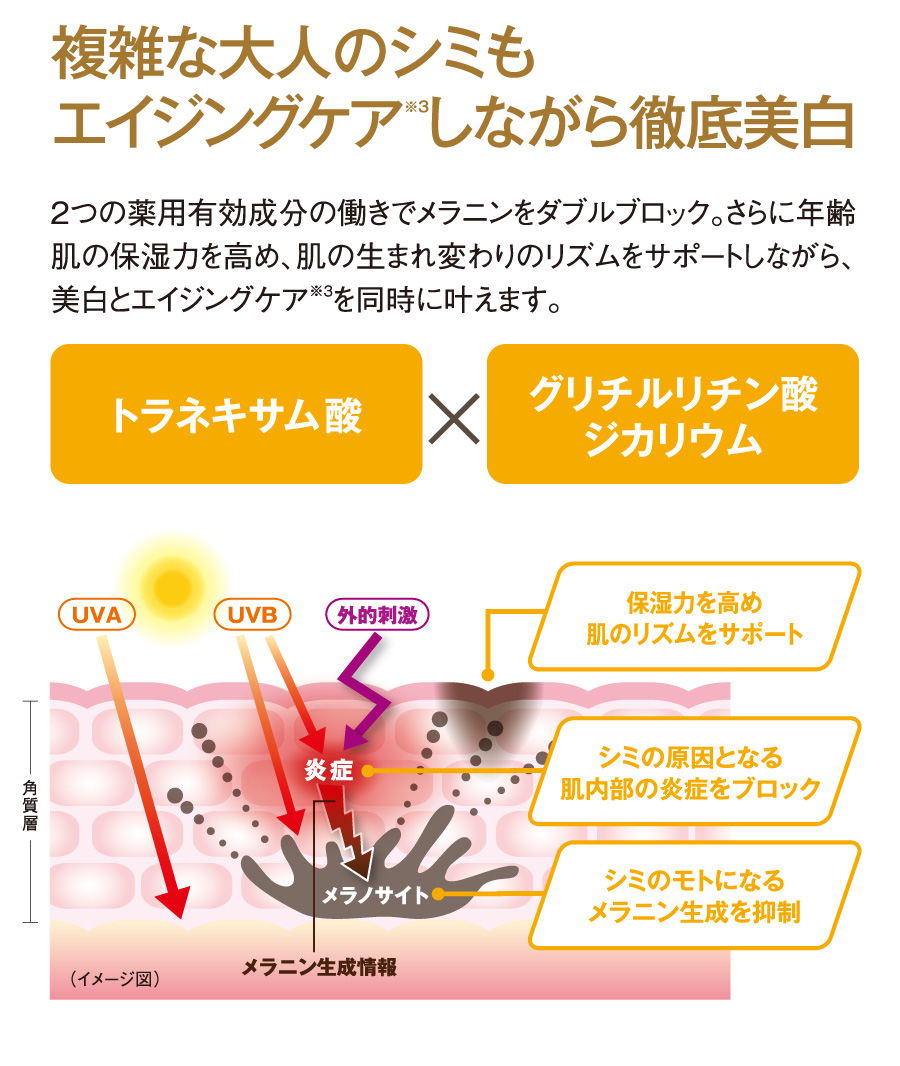 薬用美白原液〈エビス ビーホワイト〉待望の新発売！