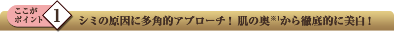 ここがポイント1　シミの原因に多角的アプローチ！肌の奥から徹底的に美白！