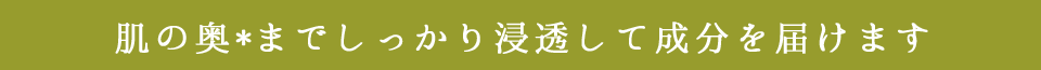 肌の奥*までしっかり浸透して成分を届けます
