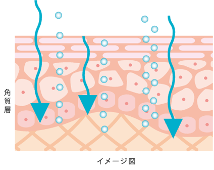 肌の奥*までしっかり浸透して成分を届けます