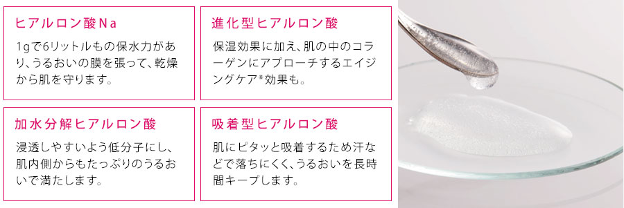ヒアルロン酸Na、進化型ヒアルロン酸、加水分解ヒアルロン酸、吸着型ヒアルロン酸