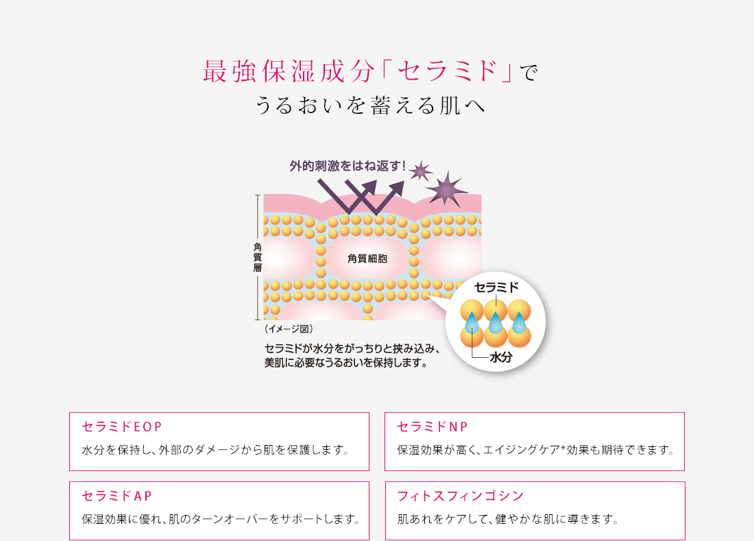 最強保湿成分「セラミド」でうるおいを蓄える肌へ