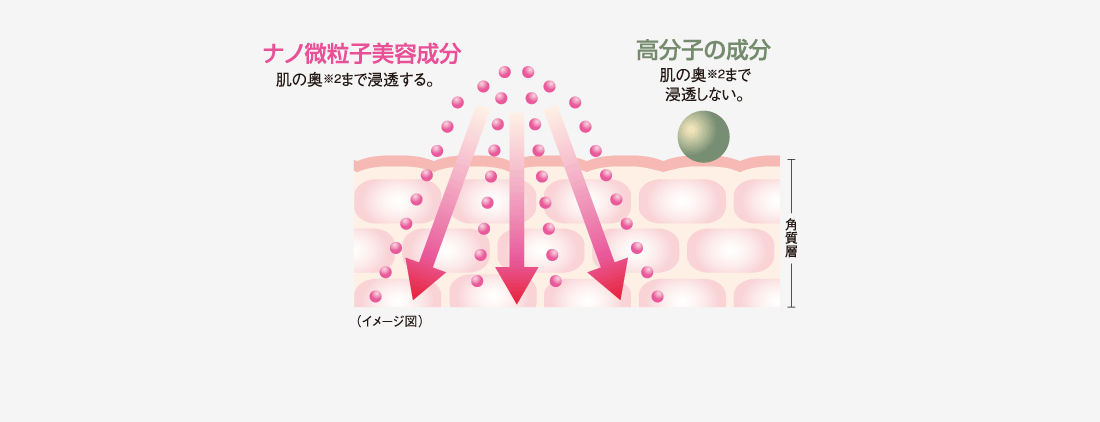 ナノ微粒子美容成分、高分子の成分