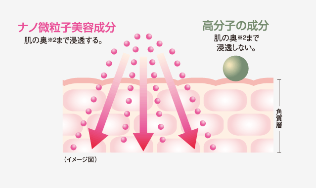 ナノ微粒子美容成分、高分子の成分