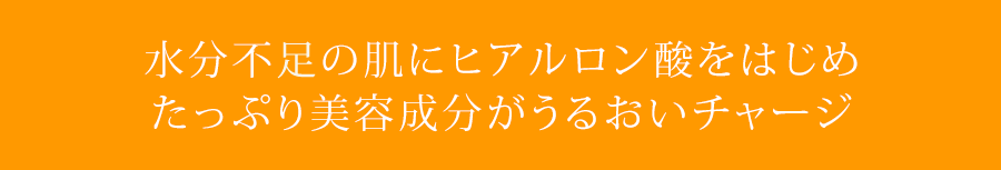 水分不測の肌にヒアルロン酸をはじめたっぷり美容成分がうるおいチャージ