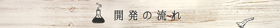 開発の流れ