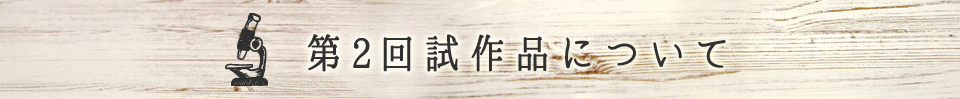 第２回試作品について