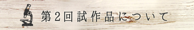 第２回試作品について