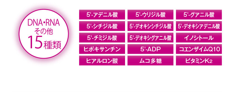 DNA・RNA その他15種類