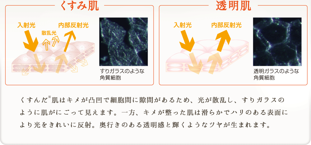 くすみ肌/透明肌