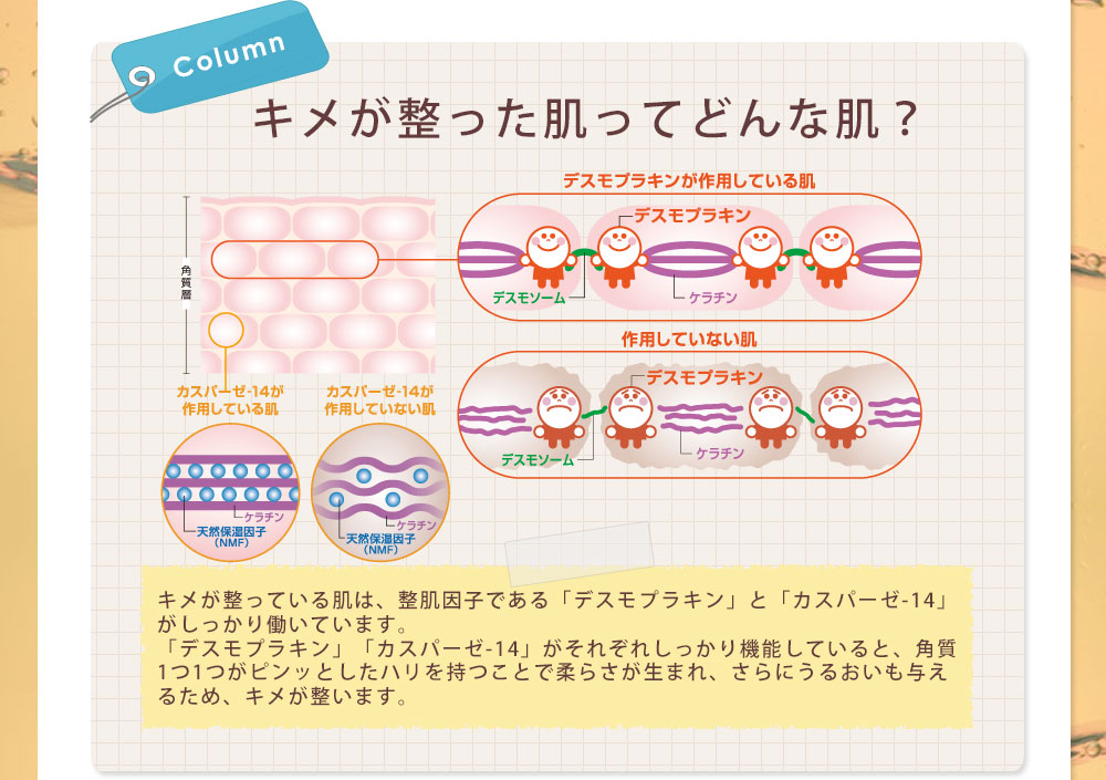 キメが整った肌ってどんな肌?
