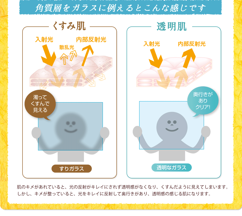 角質層をガラスに例えるとこんな感じです