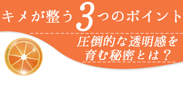 キメが整う3つのポイント