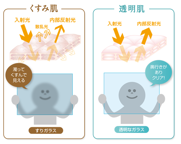 くすみ肌／透明肌