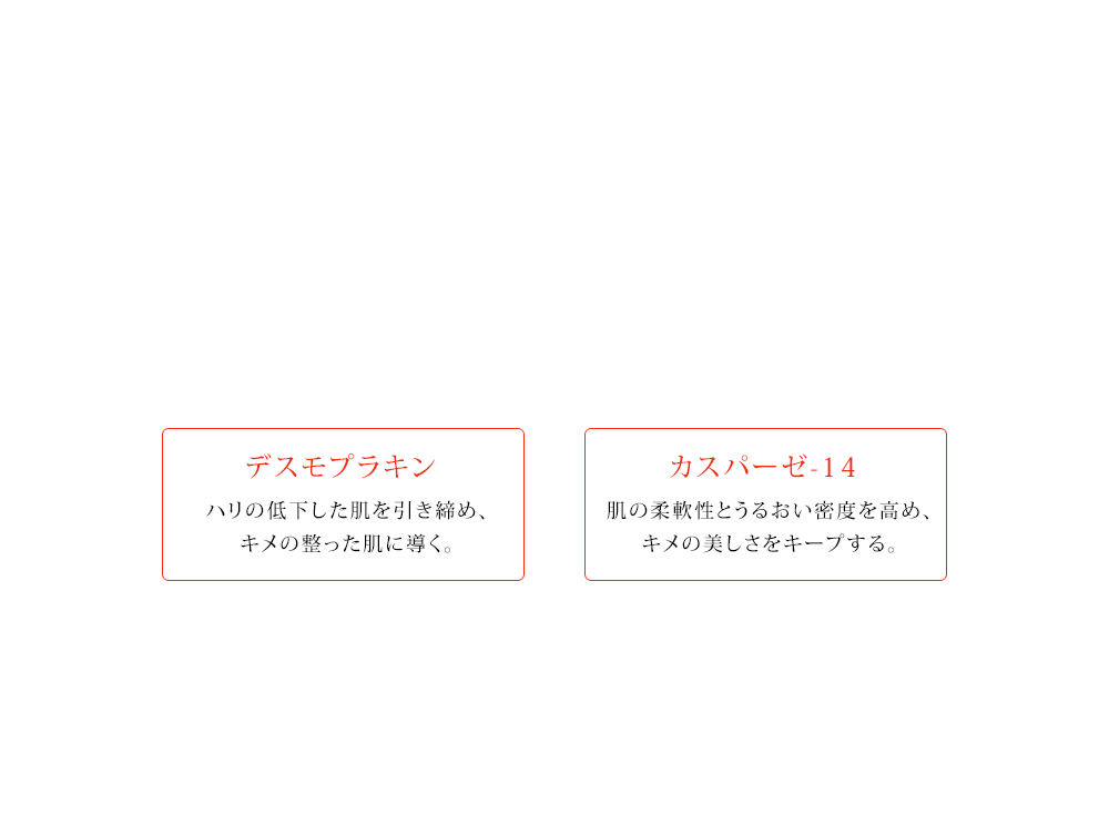 テクノロジー