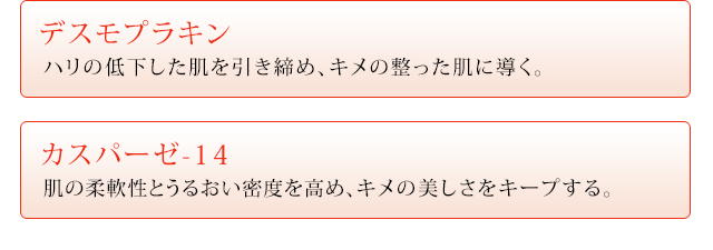 デスモプラキン／カスパーゼ-14