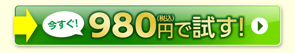 今すぐ！980円（税込）で試す！