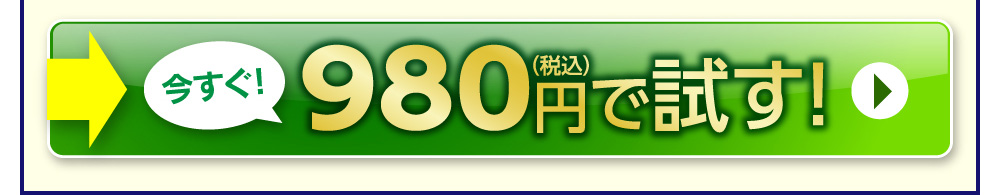 今すぐ！980円（税込）で試す！