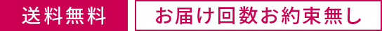 送料無料/お届け回数お約束無し